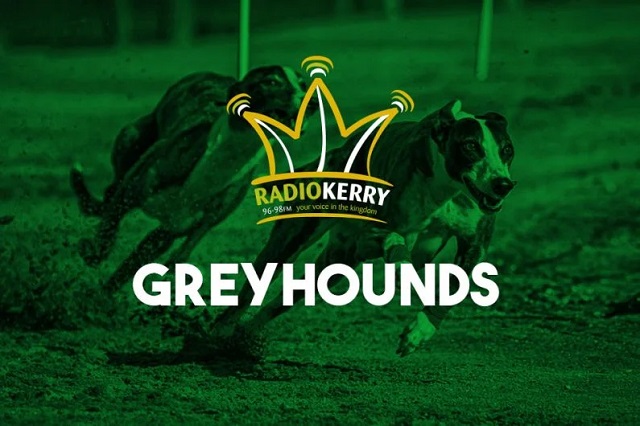 greyhound recorder